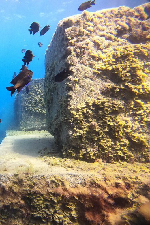 2 DAYS - 3 DIVES - Dive Experience on the Canary Islands