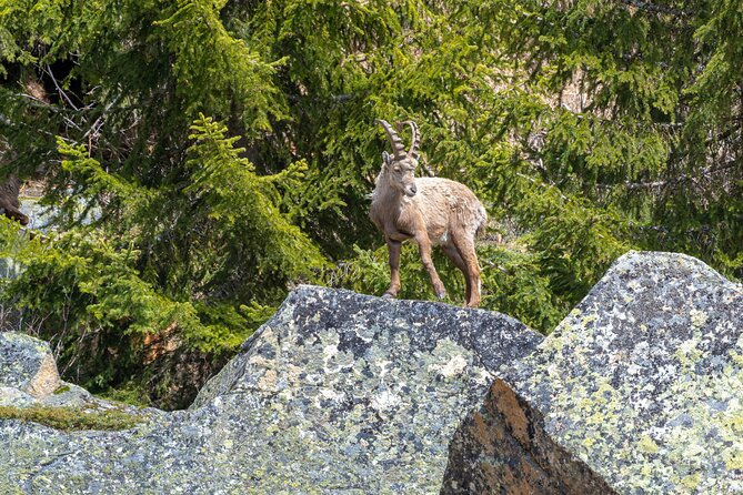 2 Days Banff and Jasper Tour : Lakes, Glaciers and Hot Springs - Exploring the Columbia Icefield and Skywalk