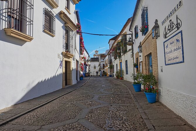 2 Days Cordoba with Mosque Ticket and Hotel Tour - Scenic Drive from Seville to Cordoba in 90 Minutes