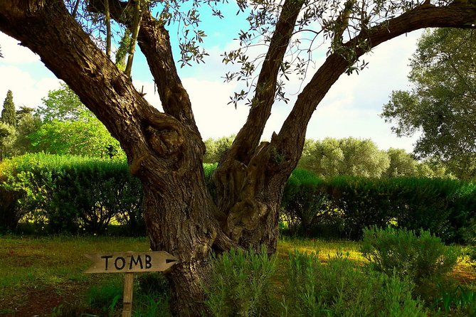 2 Days Herodotus Tour - Marathon, Thermopylae, Delphi, Thebes, Plataea, Salamis - Delving into Delphi’s Ancient Sanctuary and Museum