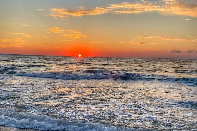 2 Days in the Danube Delta and Constanta city at the Black Sea - Day Two: The Danube Delta Museum and the Ecosystem