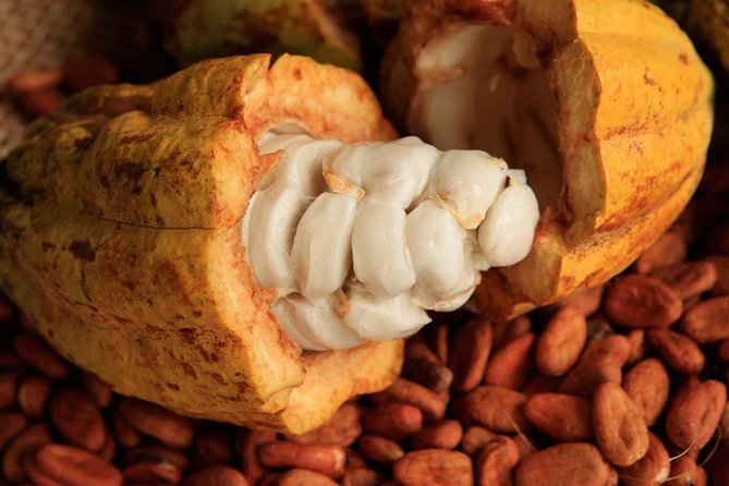 2 days Mayan world Ruins: Chichen Itza, Tulum, Coba, Cenotes - Lively Lunch and Mayan Chocolate Experience