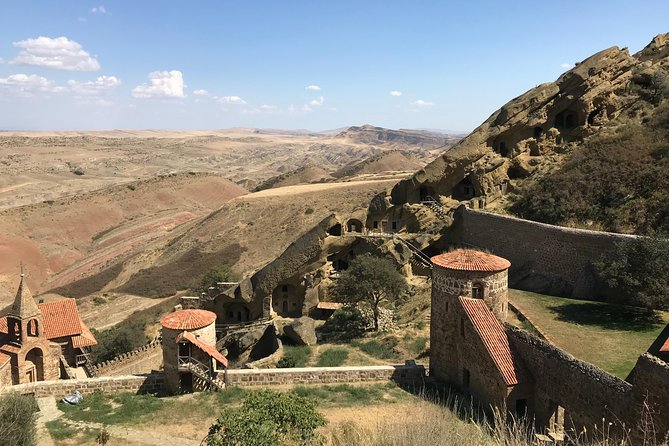 2 Days Private Organic Wine Tour to Kakheti Region via Rustavi and David Gareja - Visiting the Cradle of Wine: Organic and Natural Production
