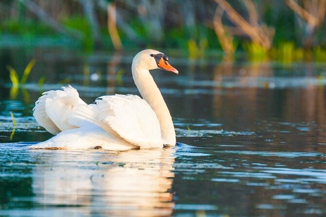 2 Days Private Tour from Bucharest to Black See and Danube Delta - Exploring the Danube Delta Beyond the Tour