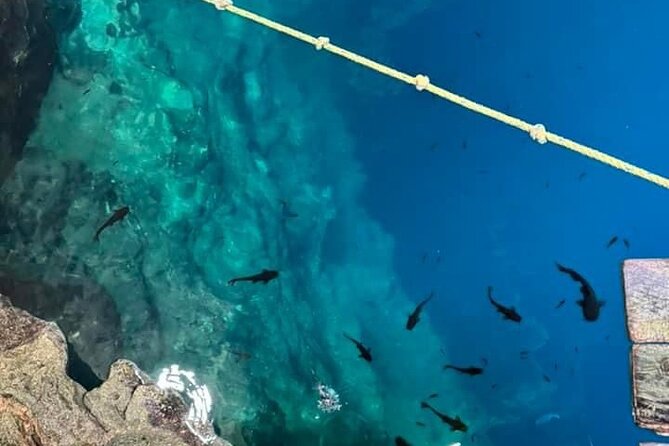 2 Days Private Tour in Aguas Rosas and Cenotes - Day 2: Aguas Rosas, Rio Lagartos, and the Mayan Bath