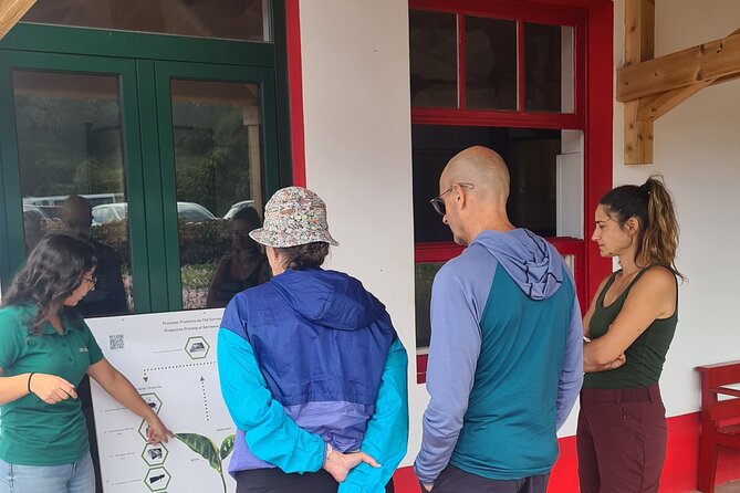 2 Days Private Tour in São Miguel - Visiting the Hot Springs and Nature Reserves