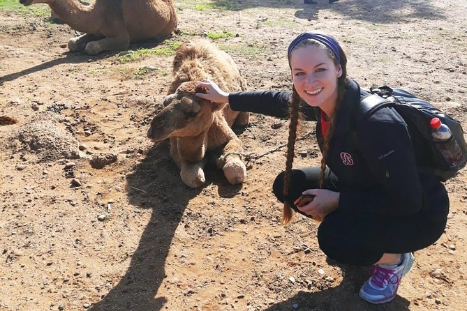 2 Days Tangier (Morocco) Trip from Seville - Explore Morocco in Just Two Days from Seville