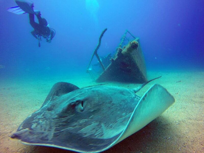 2-Dive Guided Scuba Diving For Qualified Divers - What to Bring for a Smooth Dive Day