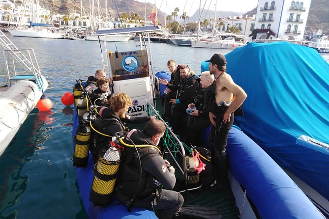 2 Dive Package for PADI Qualified Divers in Gran Canaria - Water Conditions and Marine Encounters