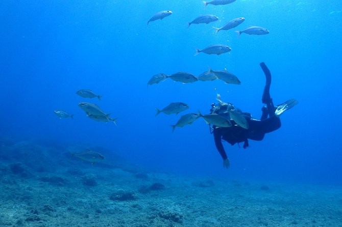 2 Dives Package - Professional Guides and Safety Focus