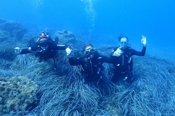 2 Dives Package - Customer Experiences and Praise for Guides