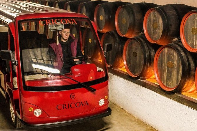 2 Excursions in One Day - Cricova Winery,Tiraspol City and Bender Fortress! - Bender Fortress: A Historic Landmark in 45 Minutes