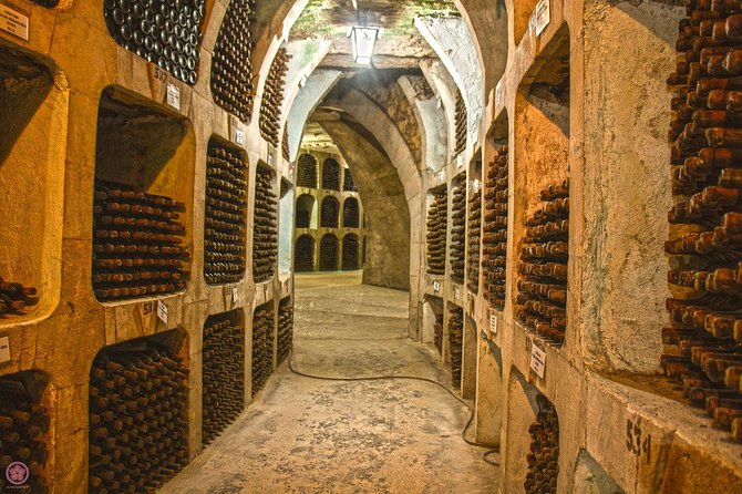 2 Excursions in One Day-Milestii Mici Winery, Tiraspol City and Bender Fortress - Pacing and Duration: A Full 8-Hour Day