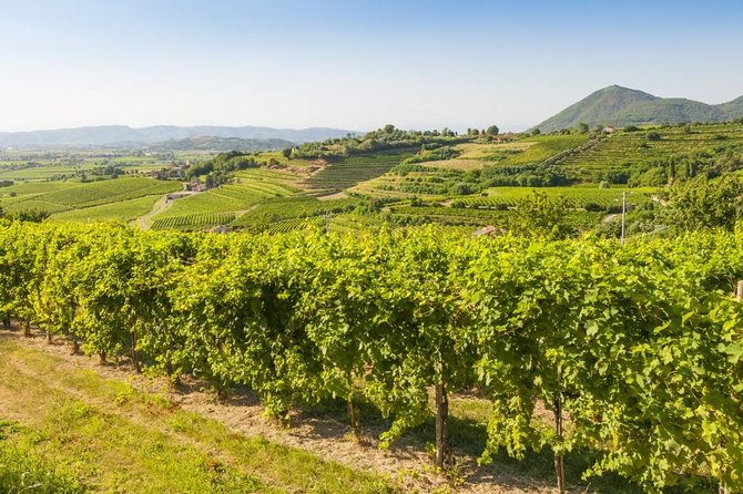 2 Guests Private Prosecco Road Tour All Inclusive from Conegliano - Steep Hills and Scenic Photography at San Pietro di Feletto