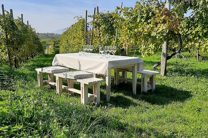 2 Guests Private Prosecco Road Tour All Inclusive from Conegliano - Highlights of the Tour Experience