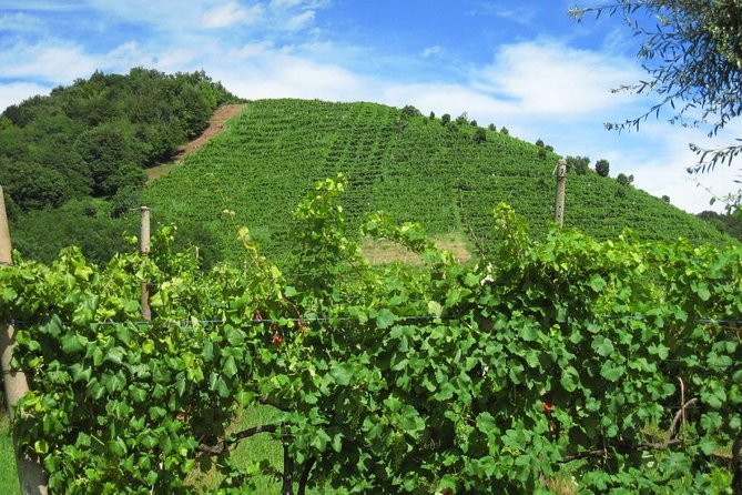 2 Guests Private Prosecco Road Tour All Inclusive from Conegliano - Food and Wine Pairings