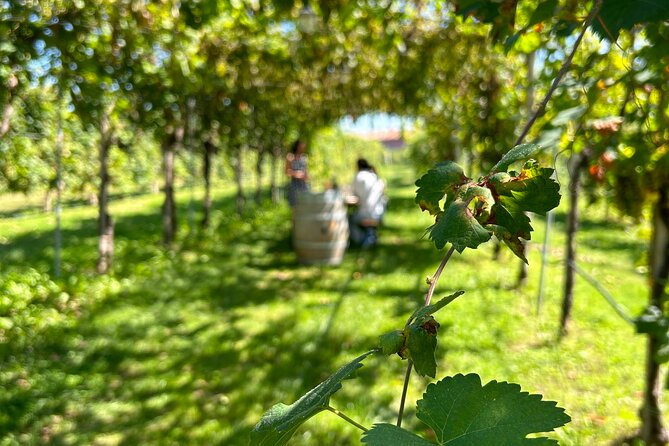 2 Guests Private Prosecco Road Tour All Inclusive from Venice - Key Points