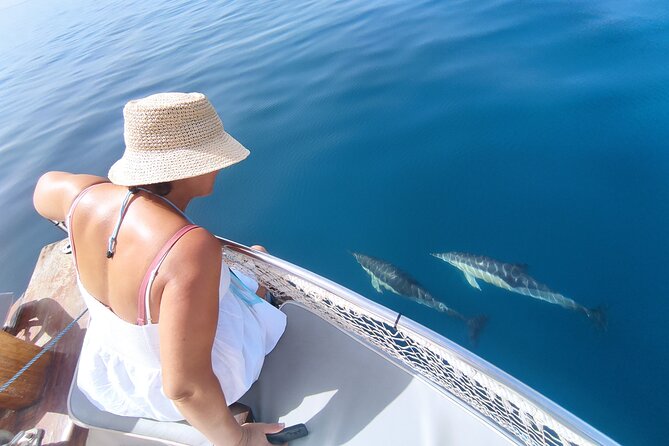 2 h Estepona Bay Tour - Key Points