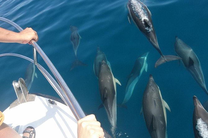 2 h Estepona Bay Tour - Who Will Enjoy This Tour?