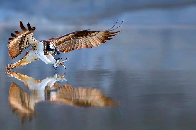 2-Hour, 4-seat ATV Rental next to Bryce National Park - Key Points