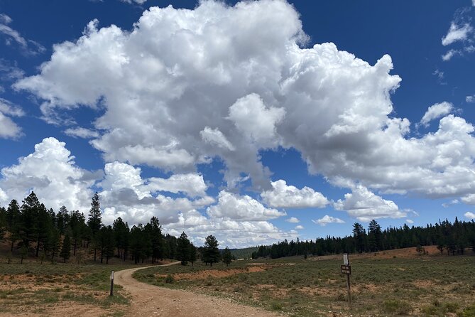 2-Hour, 4-seat ATV Rental next to Bryce National Park - Comparing This ATV Rental to Guided Tours