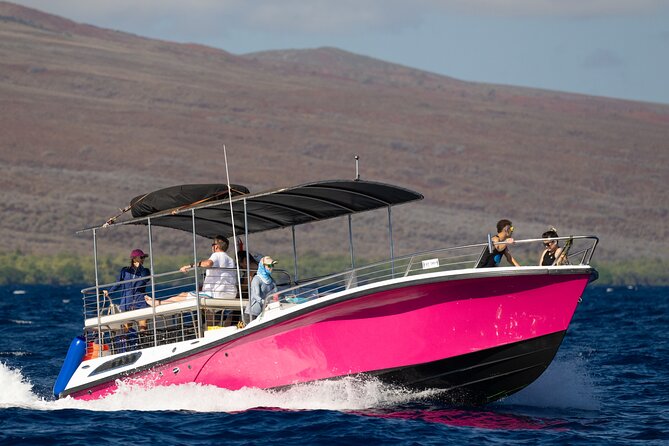 2 Hour Afternoon Lahaina Whale Watch - Booking, Cancellation, and Flexibility