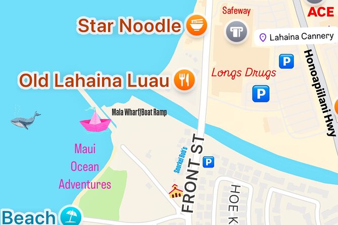 2 Hour Afternoon Lahaina Whale Watch - Why This Tour Stands Out