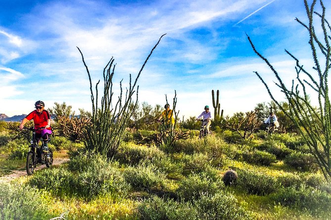 2-Hour Arizona Desert Guided E-Bike Tour - From the Meeting Point to the Desert Trails