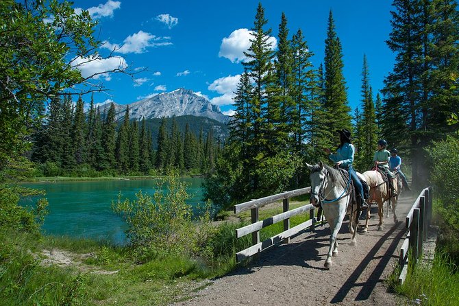 2 Hour Banff Horseback Riding Adventure - The Experience for Families and First-Time Riders