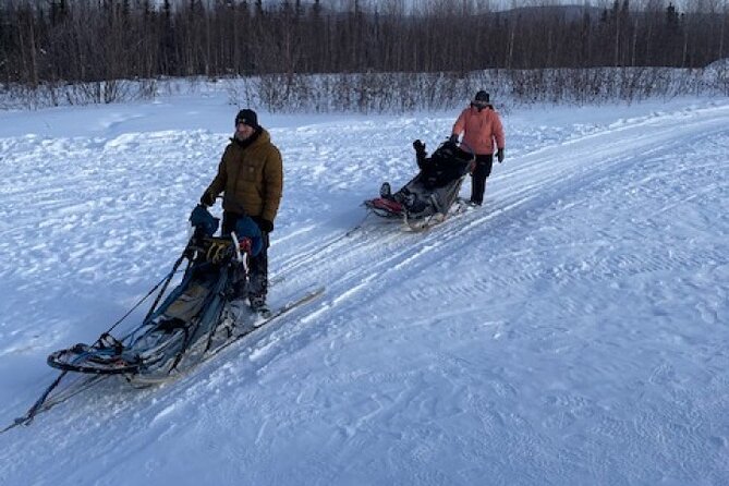 2-Hour Basic Dog Mushing School (with Transportation) - Meeting the Sled Dogs in the Kennel