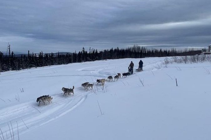 2-Hour Basic Dog Mushing School (with Transportation) - What’s Included in the Experience