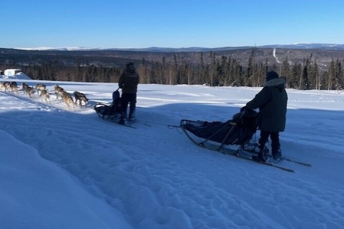 2-Hour Basic Dog Mushing School (with Transportation) - The Physical and Weather Considerations