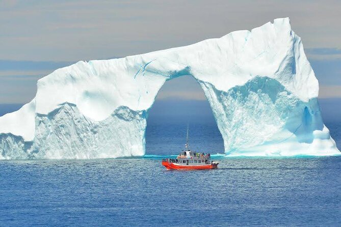 2 Hour Boat Tour in Twillingate - Exploring Twillingate’s Iceberg Alley on a 2-Hour Boat Tour