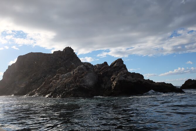 2 Hour Boat Tour in Twillingate - Practical Tips for the Tour