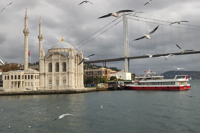 2-Hour Bosphorus Cruise in Istanbul with Guide - The Experience of the Guided Tour