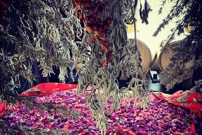 2-Hour Botanic Garden Tour in Akoursos - Panoramic Sea Views and the Old Chapel