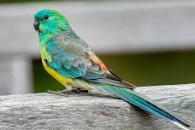 2-Hour Botanic Garden Tour in Akoursos - Relaxing Moments at the Spring Water Pool