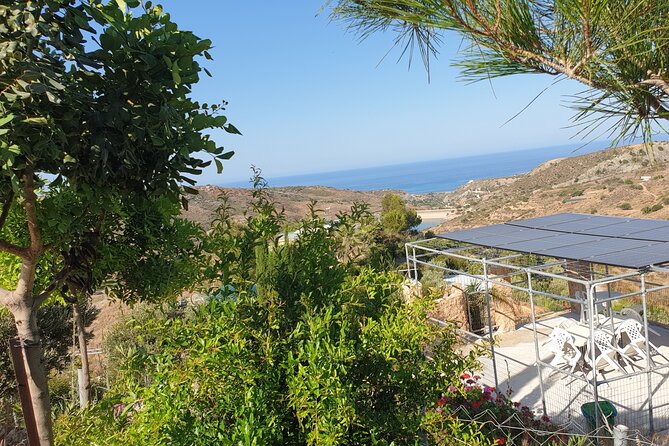 2-Hour Botanic Garden Tour in Akoursos - Scenic Walks and Photographic Opportunities