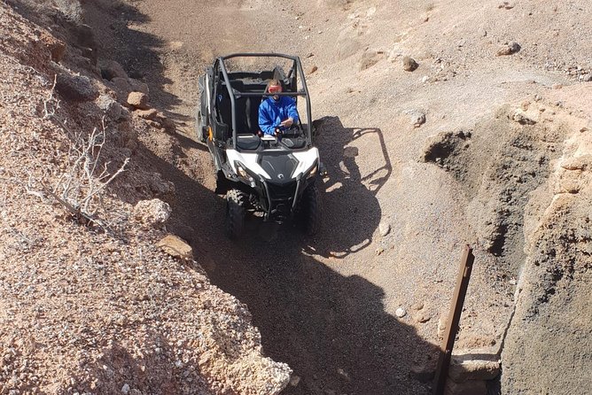 2-hour Buggy Tour from Costa Teguise - The Guide’s Role and Customer Service