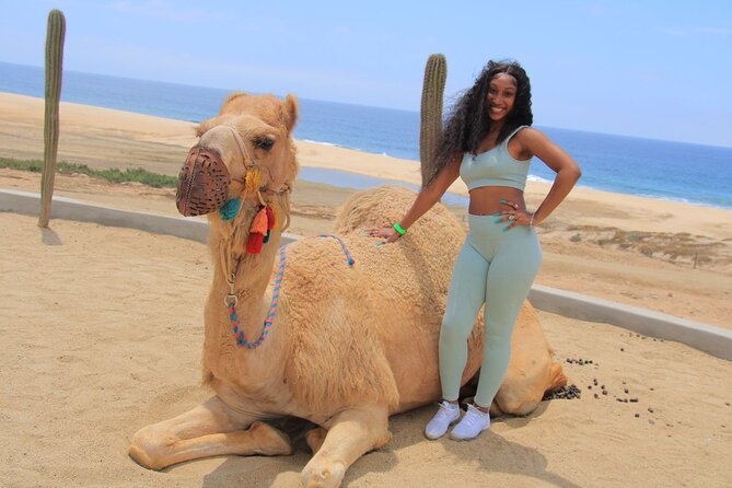 2-Hour Camel Ride Beach and Desert Adventure Experience - The Camel Beach Ride Along Bajas Shoreline
