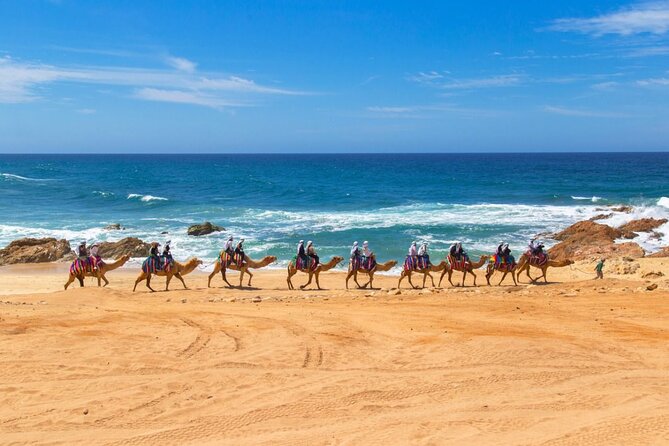 2-Hour Camel Ride Beach and Desert Adventure Experience - The Experience’s Group Size and Booking Popularity