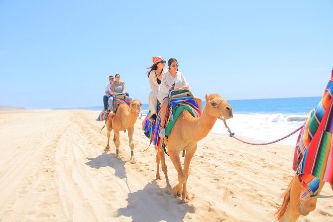 2-Hour Camel Ride Beach and Desert Adventure Experience - Highlights of the Beach and Desert Landscape