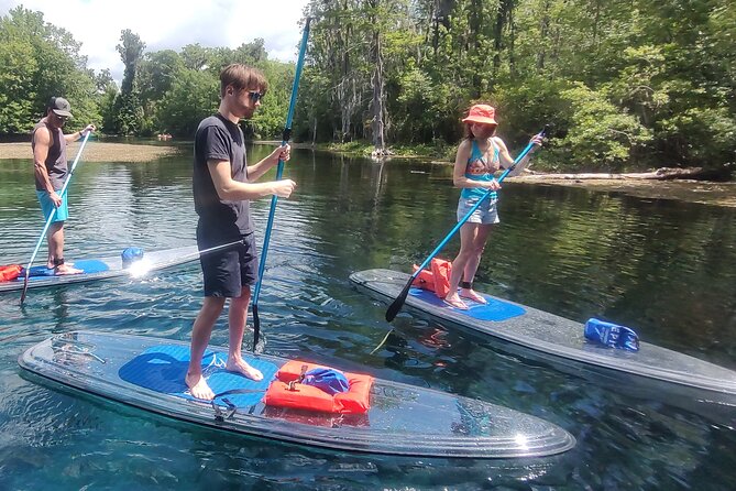 2-Hour Clear Kayak & Clear Paddleboard(SUP) Rental in Orlando - Why Choose This Orlando Kayak and Paddleboard Rental