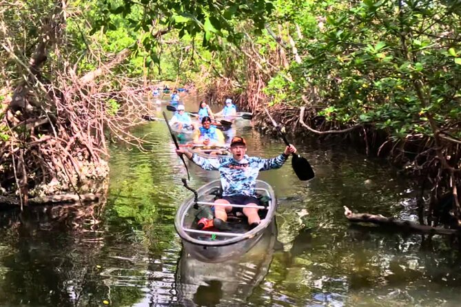 2 Hour Clear Kayak Tour at Emerson Point Preserve - Discover the Serenity of Emerson Point Preserve with a Clear Kayak Tour