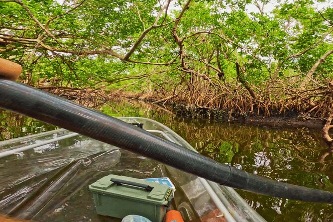 2 Hour Clear Kayak Tour at Emerson Point Preserve - Physical Requirements and Accessibility