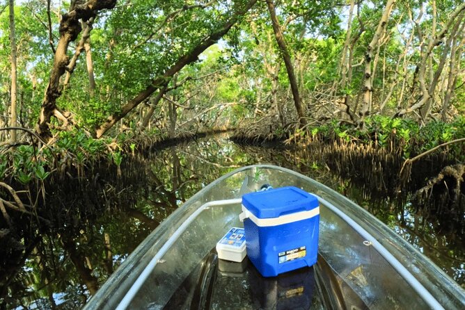 2 Hour Clear Kayak Tour at Emerson Point Preserve - Weather Conditions and Cancellation Policies