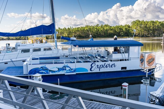 2-Hour Dolphin and Nature Eco Tour from Orange Beach - Orange Beach Departure from the Scenic Wharf