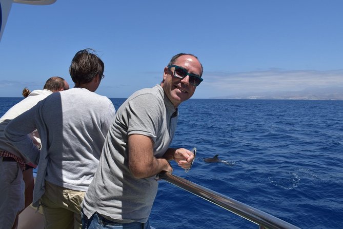 2-Hour Dolphin and Whale Watching in Gran Canaria - Starting Point at Puerto Rico in Gran Canaria