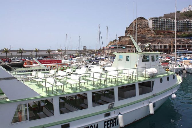 2-Hour Dolphin and Whale Watching in Gran Canaria - Onboard Experience and Amenities