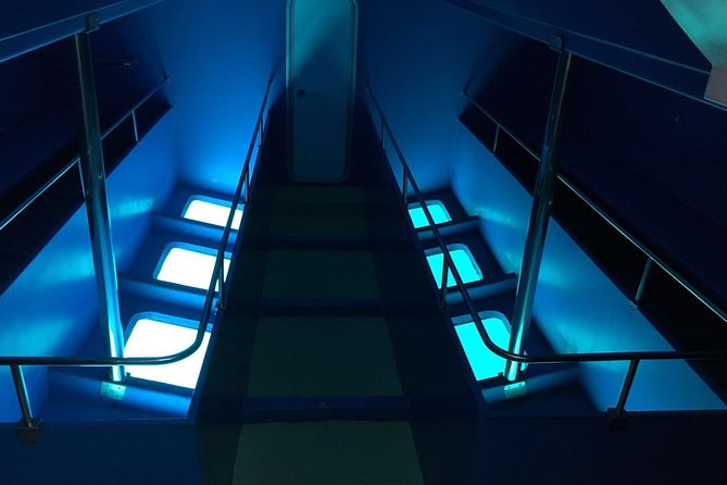 2-Hour Dolphin and Whale Watching in Gran Canaria - Comparing this Tour to Similar Experiences